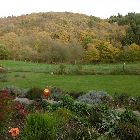 Appartamento Land Des Friedens In Nettersheim / Eifel Esterno foto