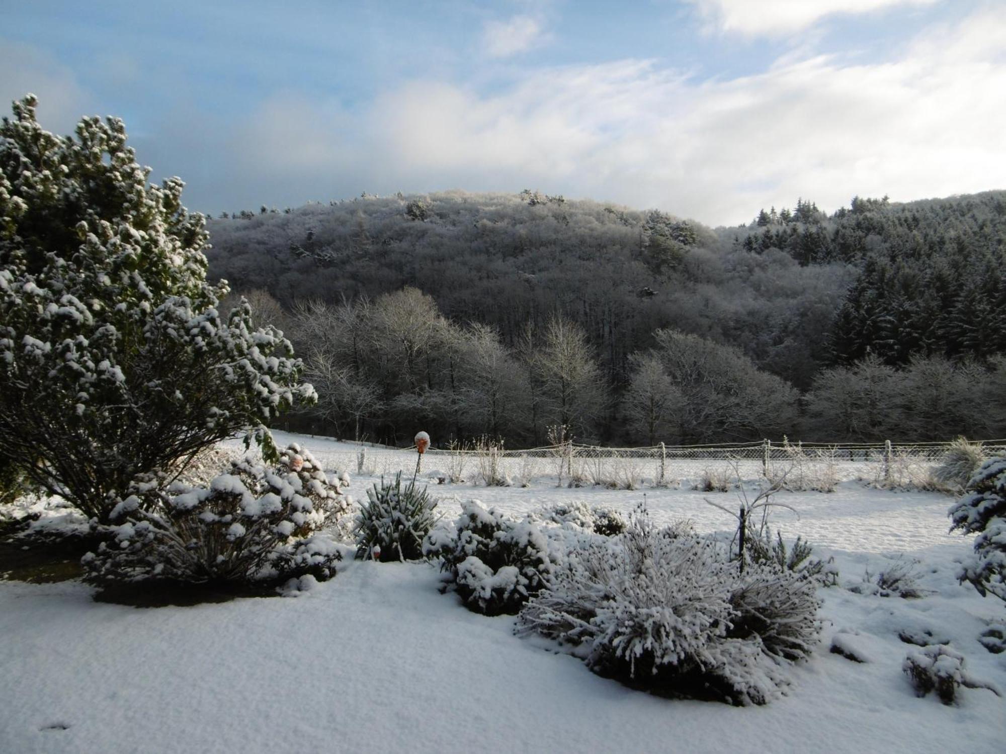 Appartamento Land Des Friedens In Nettersheim / Eifel Esterno foto