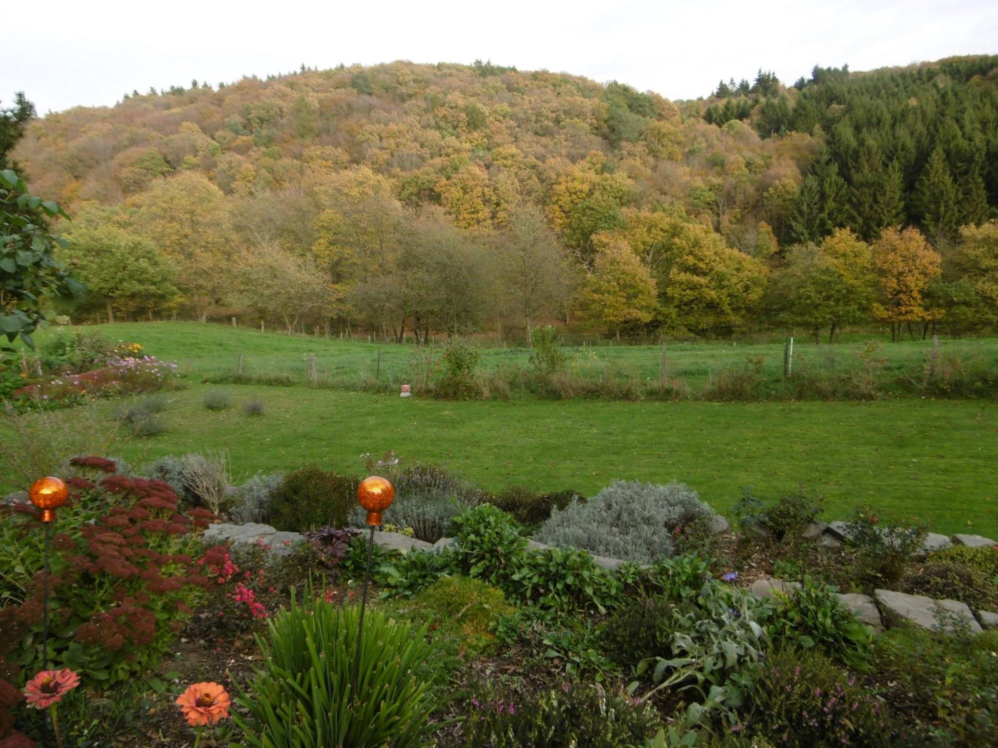 Appartamento Land Des Friedens In Nettersheim / Eifel Esterno foto