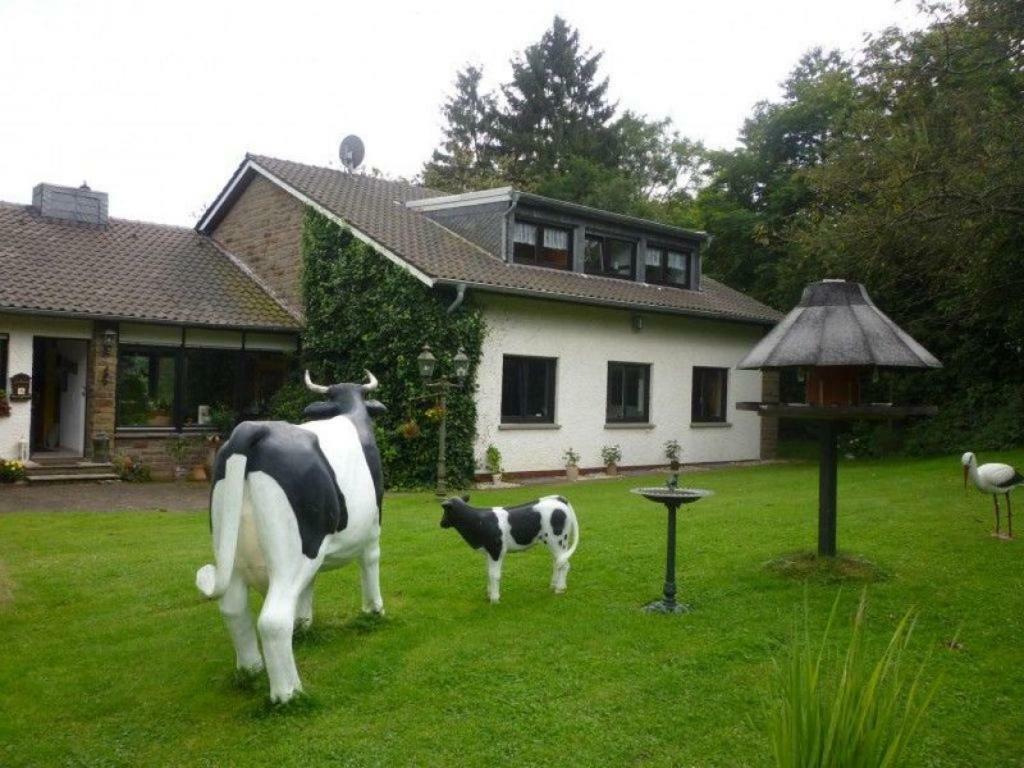 Appartamento Land Des Friedens In Nettersheim / Eifel Esterno foto