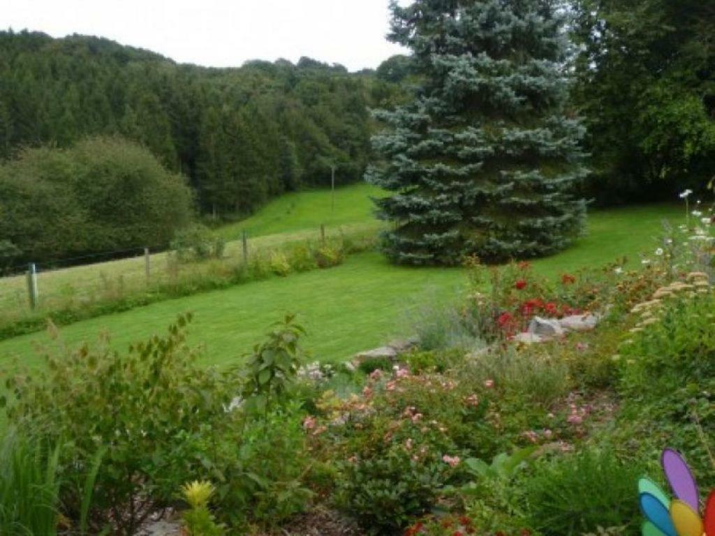 Appartamento Land Des Friedens In Nettersheim / Eifel Esterno foto